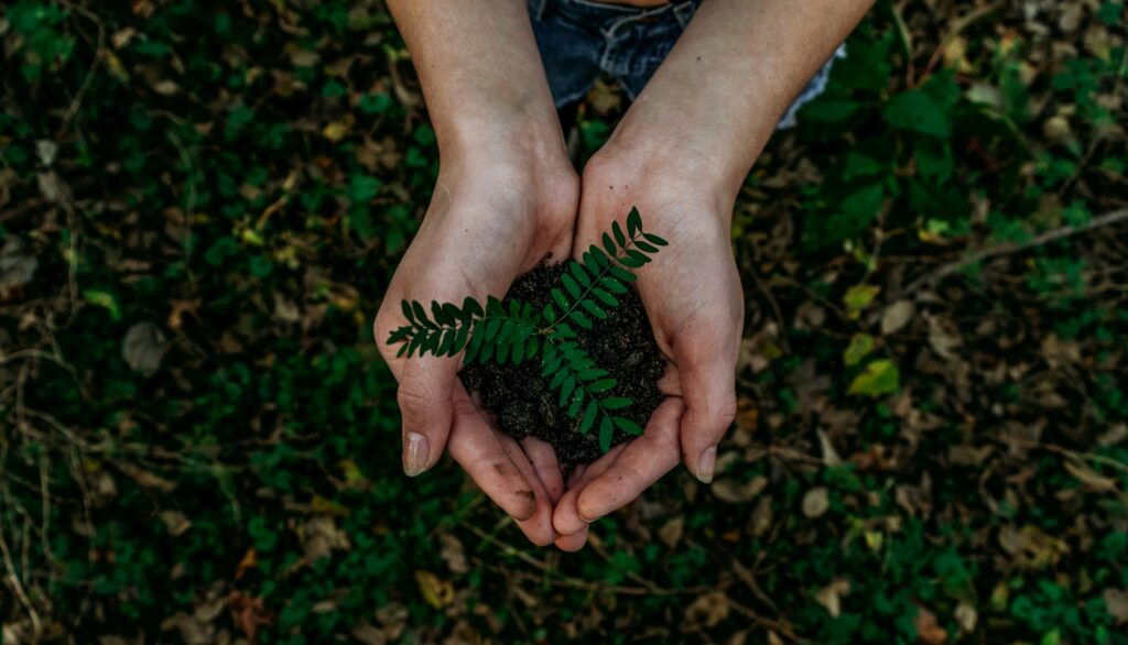 Sustainable bagasse food packaging made from natural plant fibers for eco-friendly foodservice applications.